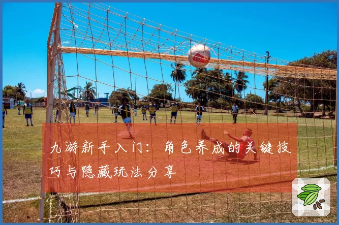 九游新手入门：角色养成的关键技巧与隐藏玩法分享